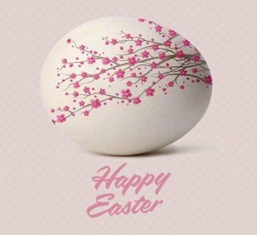 Rohan Patole. (@rohanpatoley) on Twitter photo 