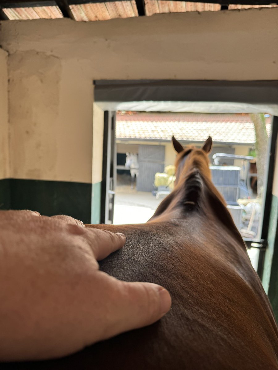 CSVET's tweet image. Feliz Páscoa