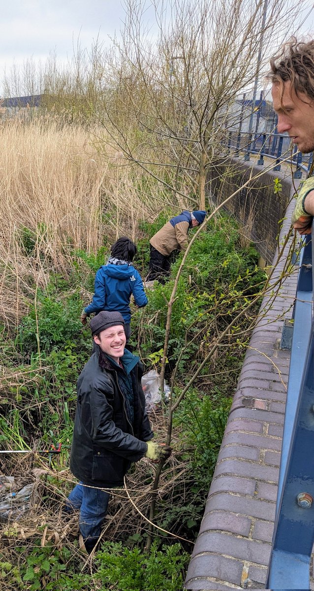 Day 2 of #WildService with @riverroding. We cleared 28 bags and 3 giant rubble sacks of litter from the river & planted black poplars in its place.

Black poplars are now our rarest native tree, due to the loss of water-meadows.

And we were planting some of its rarest genotypes!
