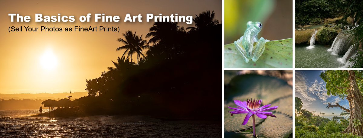The Basic of Fine art Printing
photographyadventures.ca/the-basics-of-…