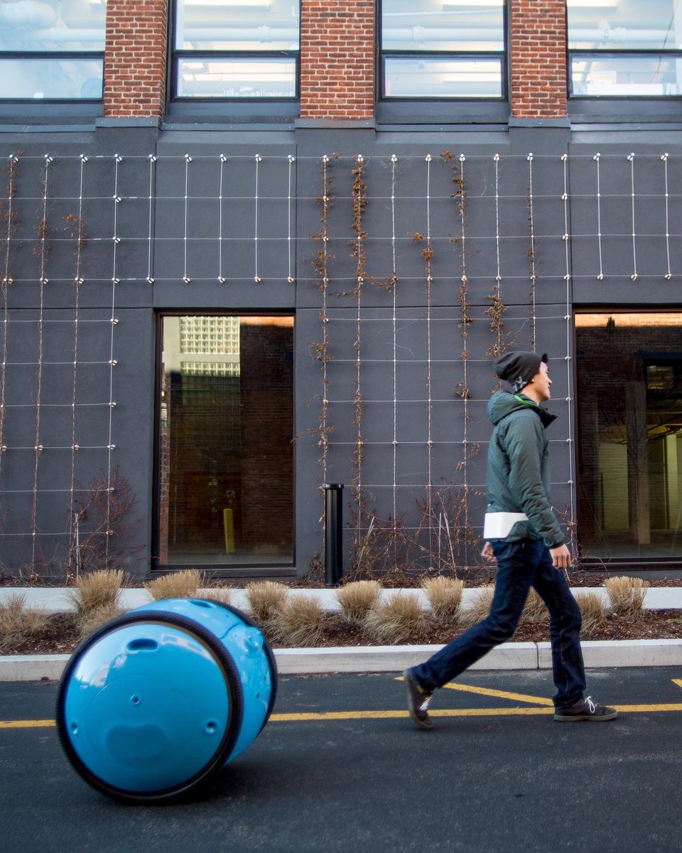 SATORI & SCOUT tweet media