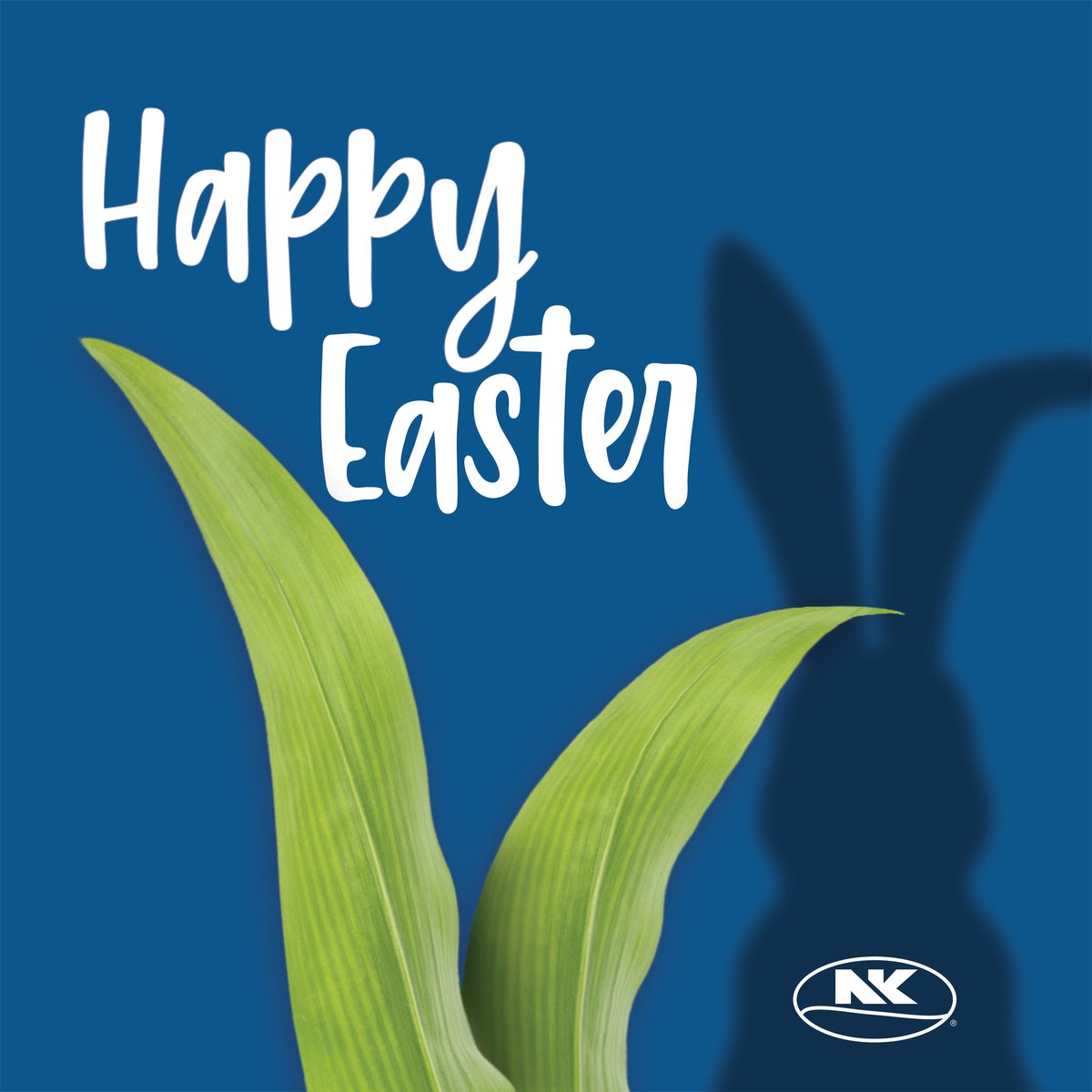 Ears to a great Easter, every-bunny! 🐰 We hope your Easter basket yields look just as good as harvest 🥚🧺🍫​⁣