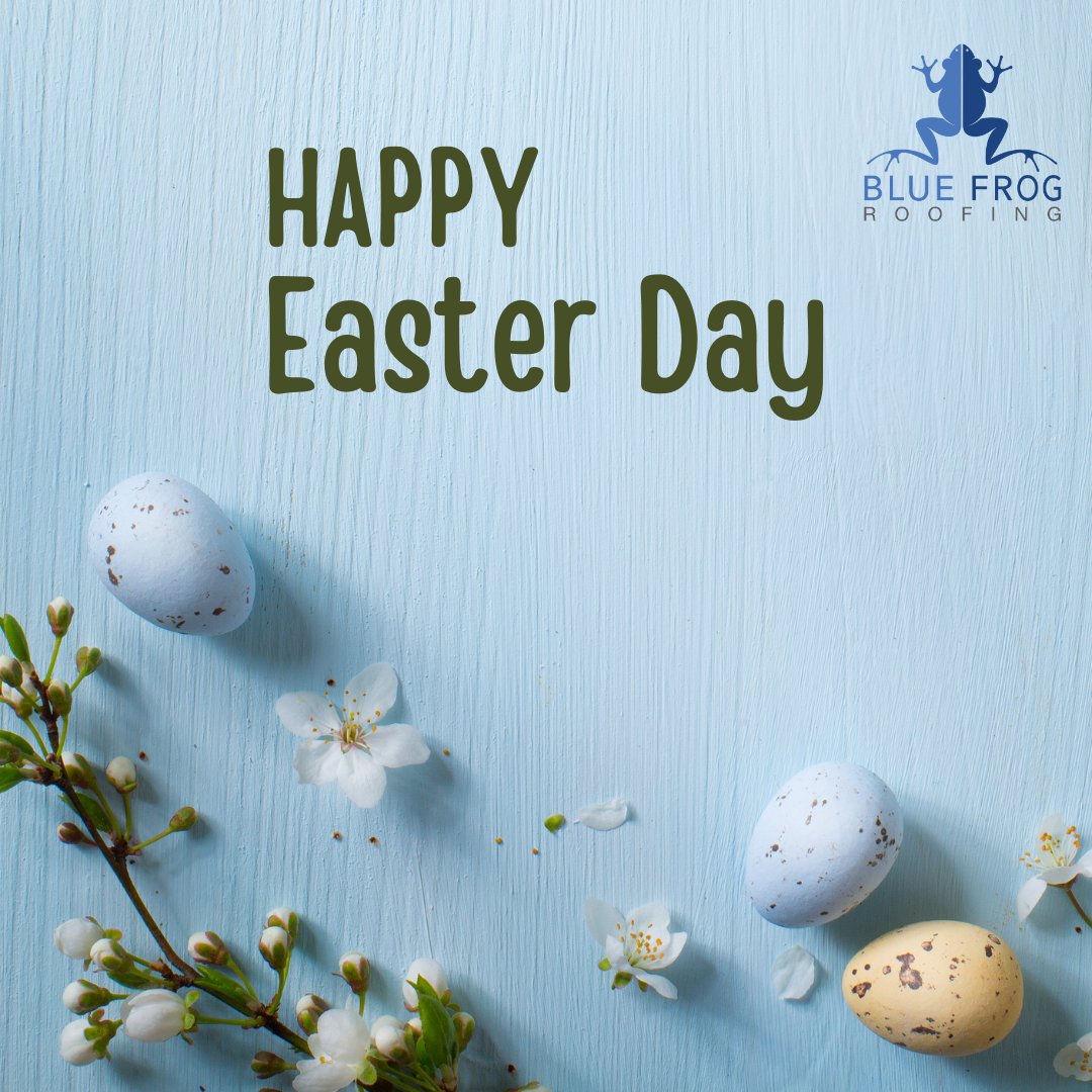 Just like the Easter Bunny, Blue Frog Roofing is here to hop to it and get the job done right! #ReliableRoofers 🌷💼 

#EasterJoy #SpringCelebration #EasterBlessings #EggHuntFun #HoppyEaster #EasterSpirit #BlossomingSeason #EasterTraditions #metalroofing #bluefrogroofing