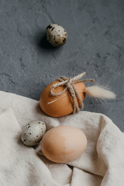 sonsriocibolo's tweet photo. Easter Sunday is about family, adventure and memories. Son's Island Getaways offer incredible Easter experiences. Book now and #MakeMemories. #familytime #funwithkids #creatememories #eastergetaway #vacationvibes #islandlife #islandhopping #springbreak #familyadventures https://t.co/XPmYvq4K8L