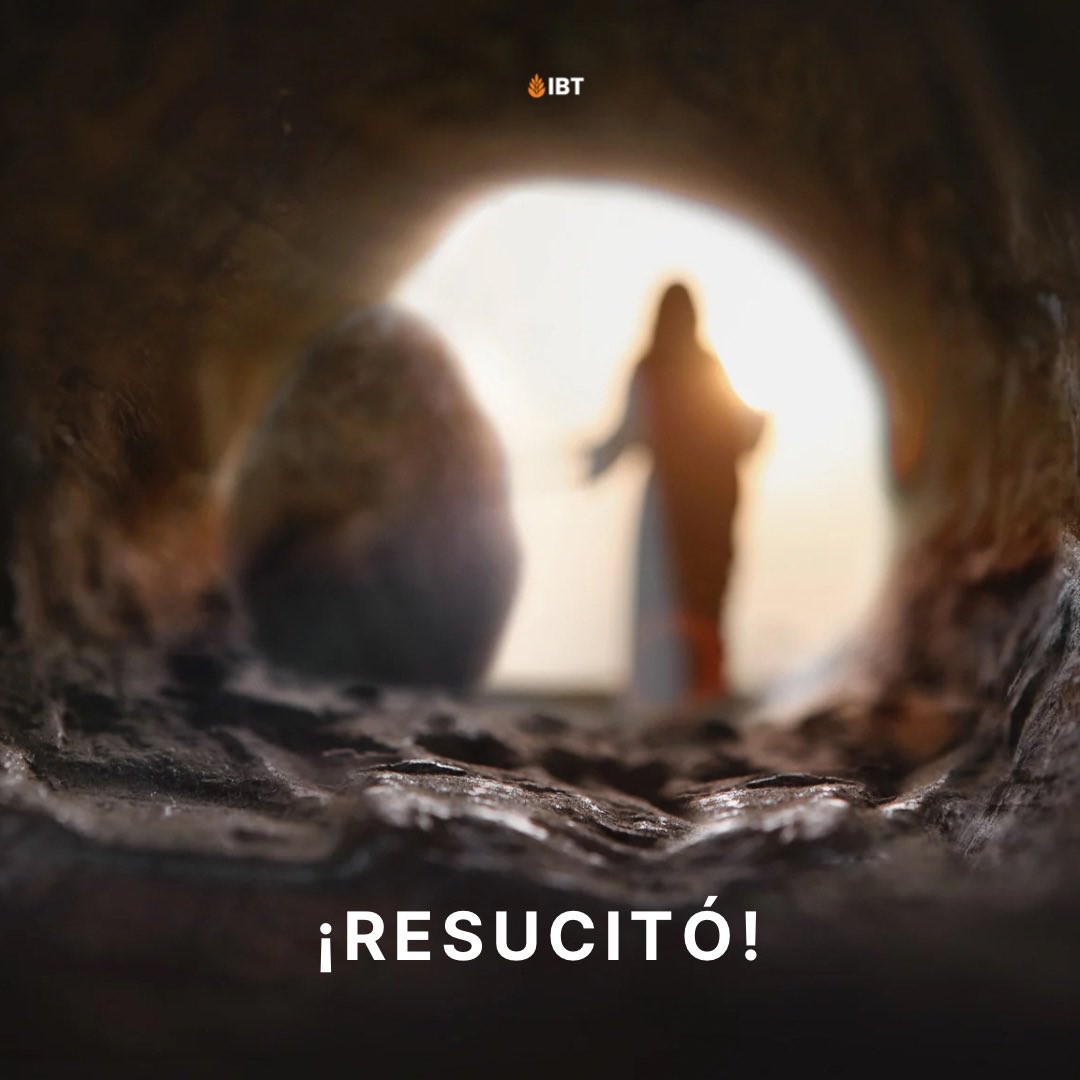 IBTrigal's tweet photo. Cristo en la cruz nos ha dado la victoria. Aquel que dijo que resucitaría, resucitó. Aquel que dijo que volvería: volverá. 

¡ÉL VIVE! Por eso hoy y siempre recordaremos que nuestro Dios es un Dios vivo. ¡ALELUYA! 

#Cristo #Fe #resurrecciondecristo #pascua https://t.co/q9i3oHGfJ9