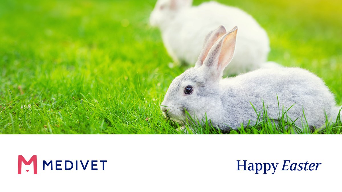 #HappyEaster from us all at Medivet 🐇 We hope you're all having a lovely long weekend!