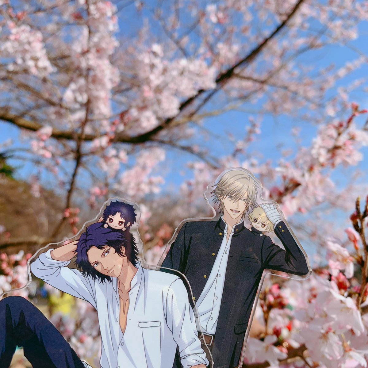 お花見してきたよ〜🌸 