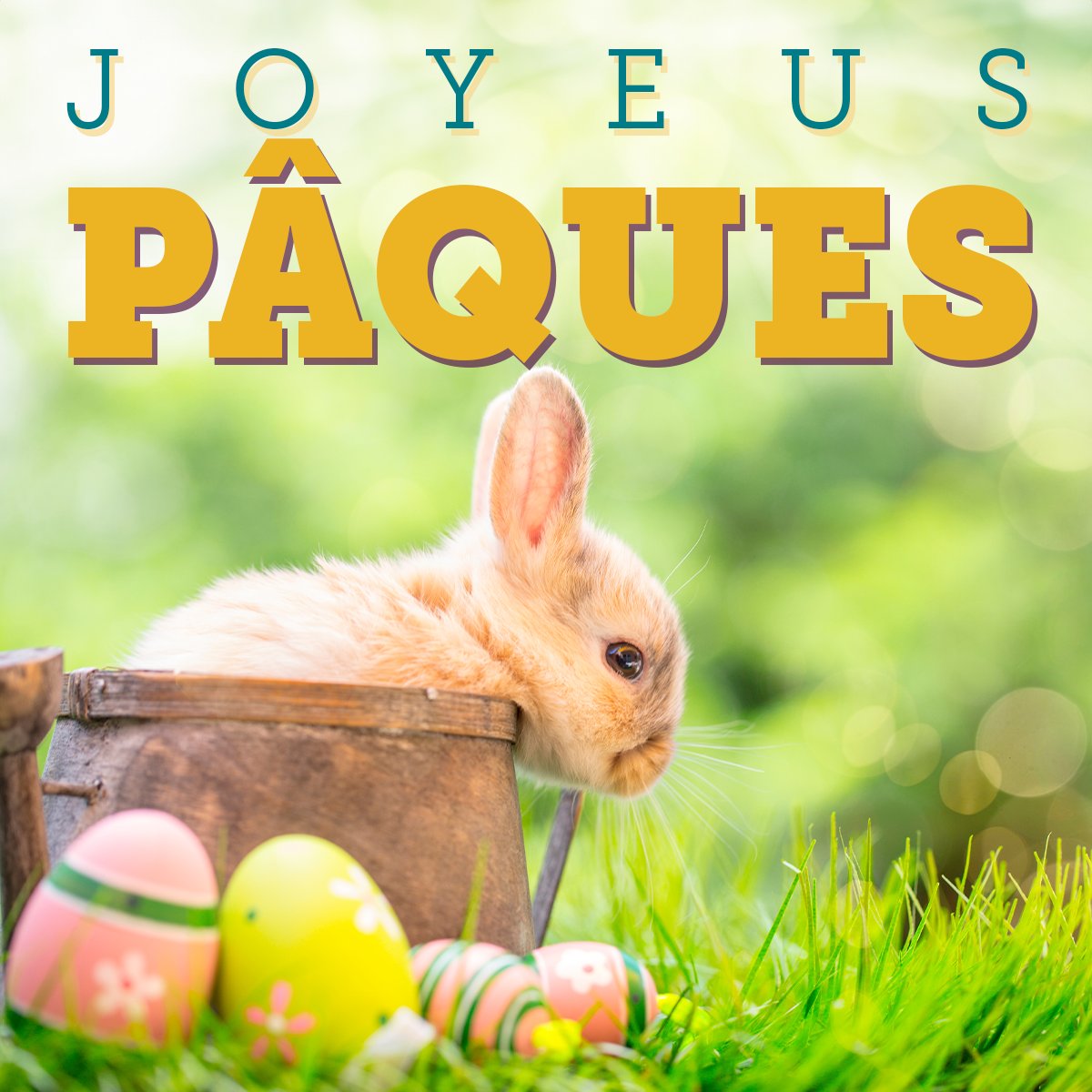 This time of year brings positive change and happiness. From all of us at Canada Protection Plan - Happy Easter! 🥚🌷🐰