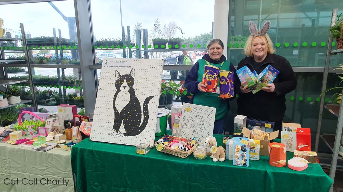THANK YOU to everyone who played our tombola in Asda St Leonards On Sea on Saturday. You raised a wonderful £434.21 every penny of which will be used to help Cats in need in our community. #catcall #caring4cats #catrescue #catcharity