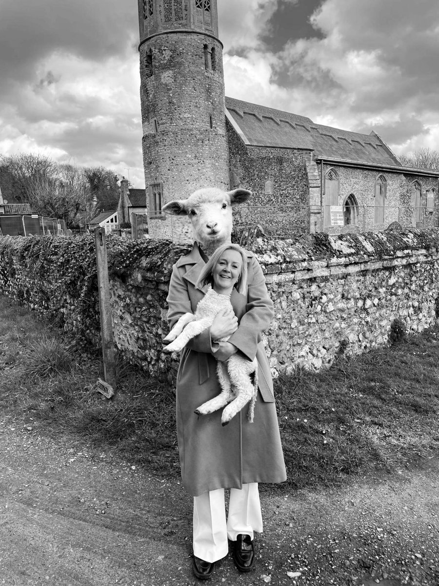 Colin the Dachshund (@dachshundcolin) on Twitter photo 