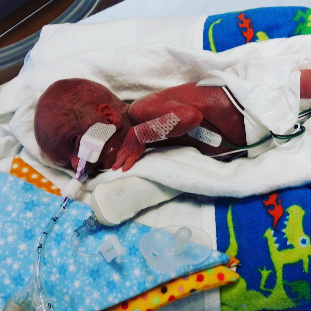 David Tough tweet media