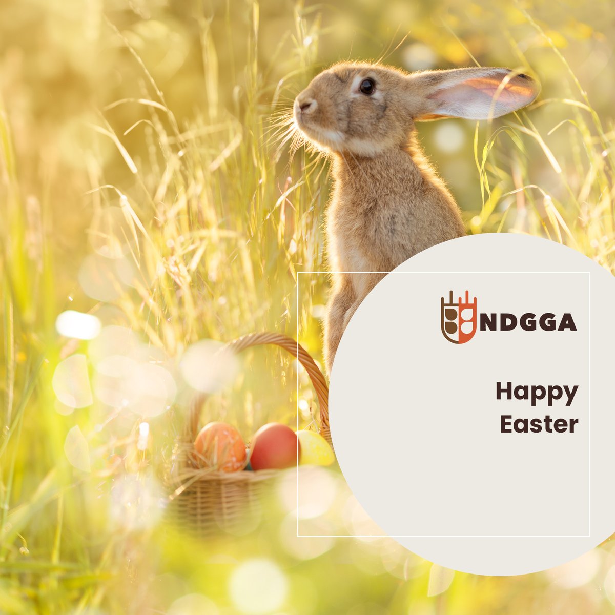 NDGrainGrowers's tweet photo. Happy Easter to our fellow grain grower families and beyond! https://t.co/B3y0DDzeex
