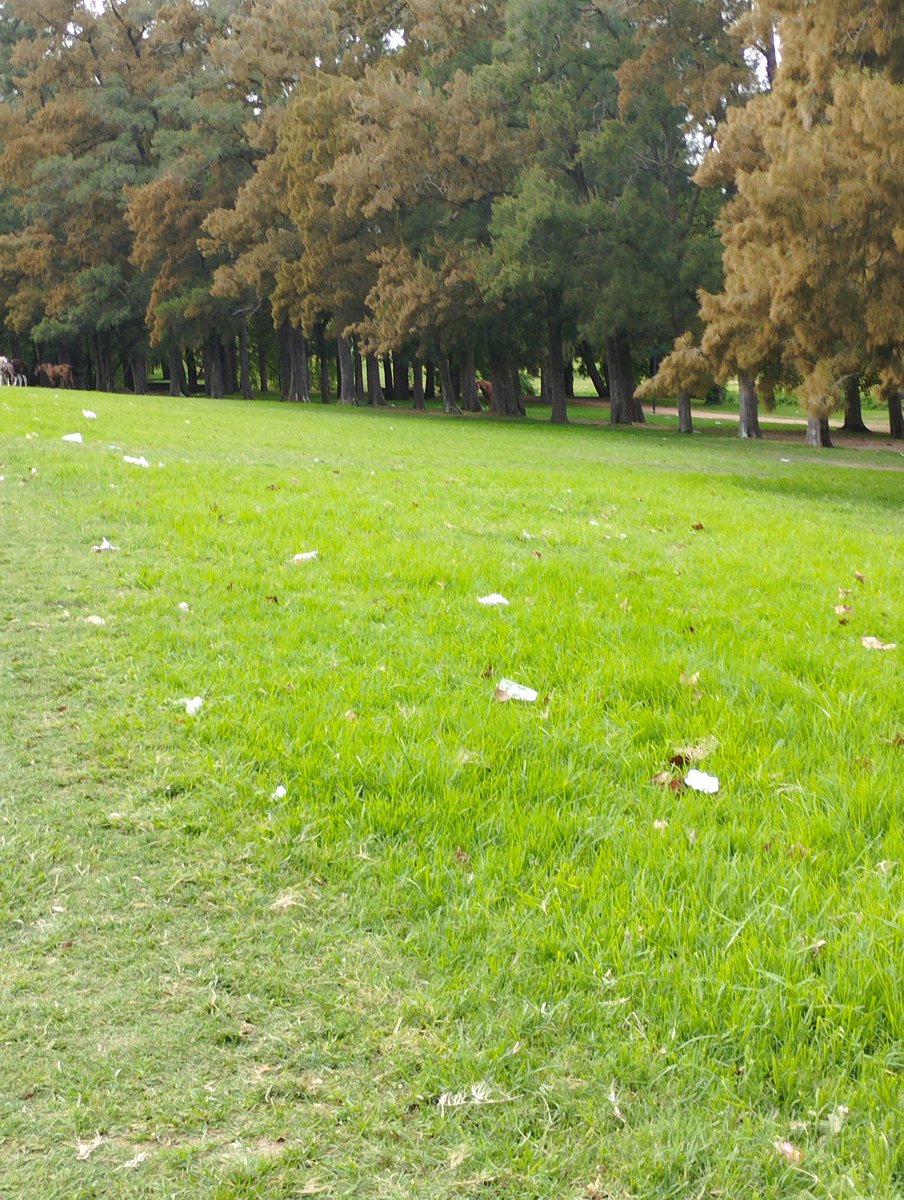 GGilard's tweet photo. Vengan a disfrutar del Prado... #masverde #massucio @montevideoIM https://t.co/4NOJF6MEcD