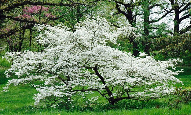profstan72's tweet photo. @tammyly @TBuster109 @dixielandlady @TidePride8 @catperson8 @cpacman2 GM Crimson Ladies & Happy Easter. #RTR19 ๐
ฐ๏ธโ๏ธ๐
ฐ๏ธโ๏ธ๐
ฐ๏ธโ๏ธ๐
ฐ๏ธโ๏ธ๐
ฐ๏ธโ๏ธ๐
ฐ๏ธโ๏ธ๐
ฐ๏ธโ๏ธ๐
ฐ๏ธ๐ค๐
ฐ๏ธโค๏ธ๐
ฐ๏ธ๐๐
ฐ๏ธ๐ฏ๐
ฐ๏ธ๐๐
ฐ๏ธ๐๐
ฐ๏ธ๐พ๐
ฐ๏ธโพ๏ธ๐
ฐ๏ธ๐ฅ๐
ฐ๏ธ๐ฅ๐
ฐ๏ธ๐คธ๐ผโโ๏ธ๐
ฐ๏ธโณ๏ธ๐
ฐ๏ธ๐๐
ฐ๏ธ๐๐
ฐ๏ธ๐บ๐ธ๐ฎ๐ฑ๐บ๐ธ๐ฎ๐ฑ๐บ๐ธ
#HaveABlessedEaster
#UnhuskTheHuskies
#RollTide https://t.co/V0hoxc0imD