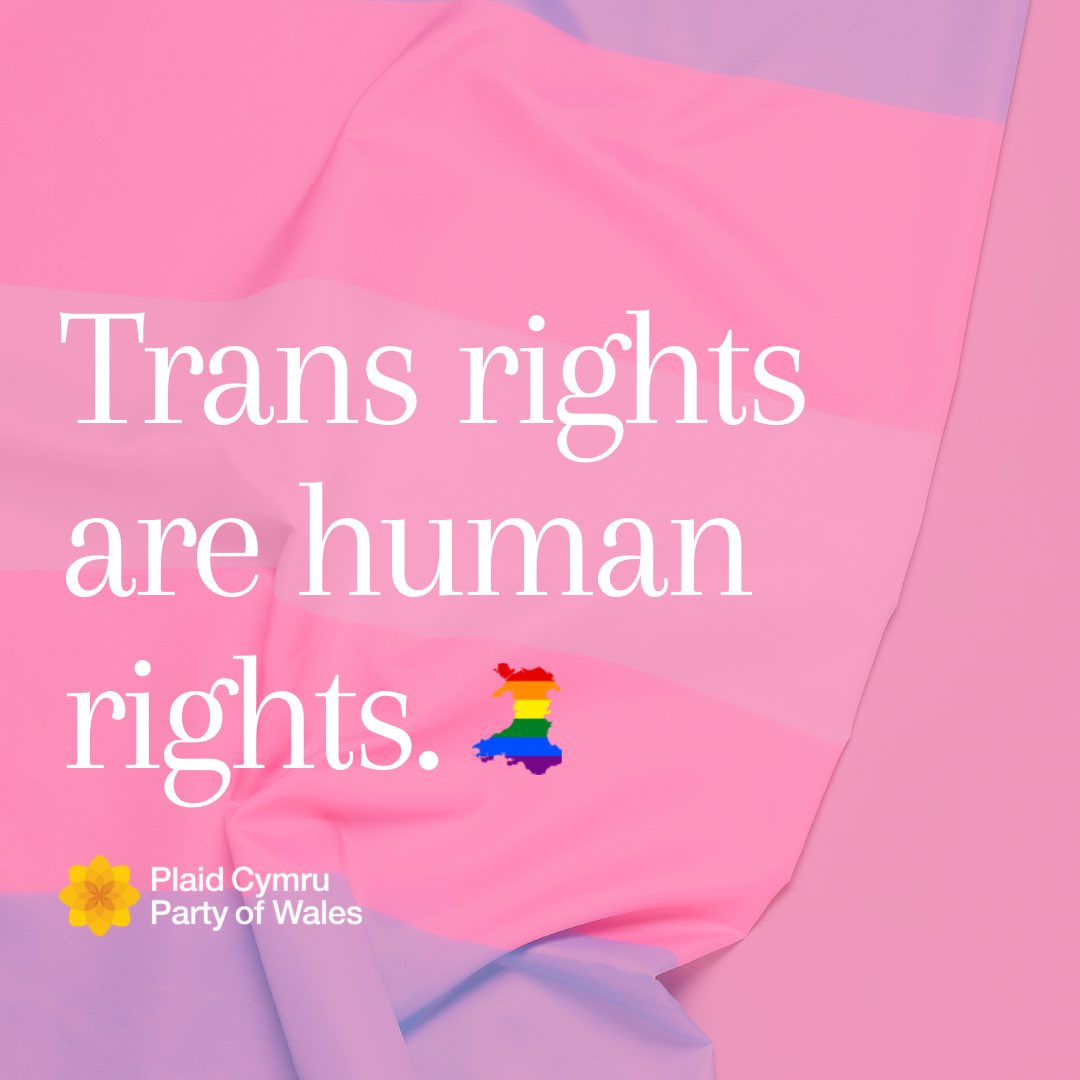 On Transgender Day of Visibility, Plaid Cymru reaffirms and support for the transgender community. We see you and we stand with you for fairness and equality and against prejudice and hate. 🏳️‍⚧️🏴󠁧󠁢󠁷󠁬󠁳󠁿