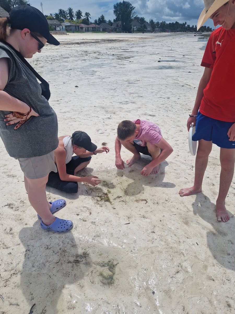 Applemore tweet media