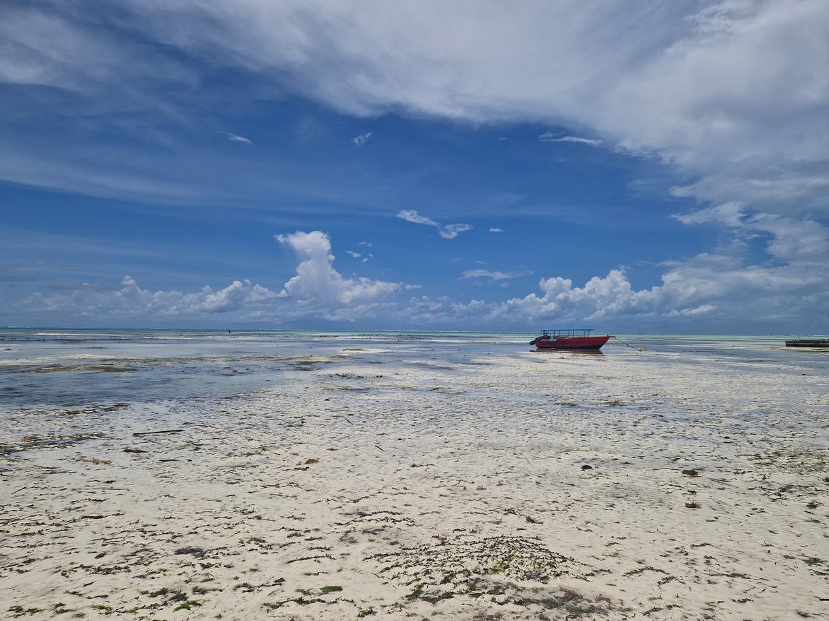 Applemore tweet media