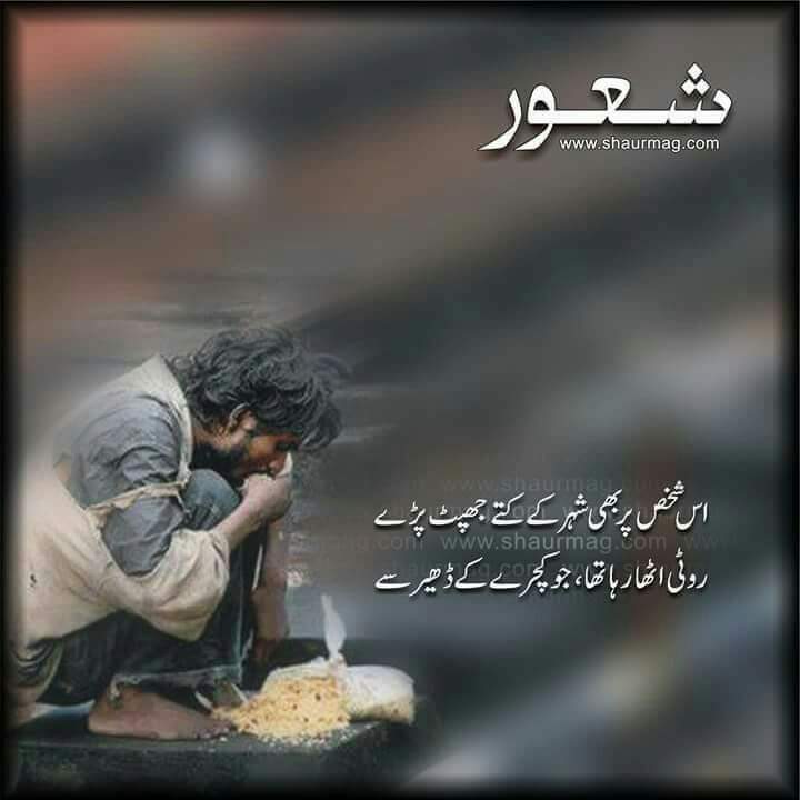 Shoaib Khan tweet media