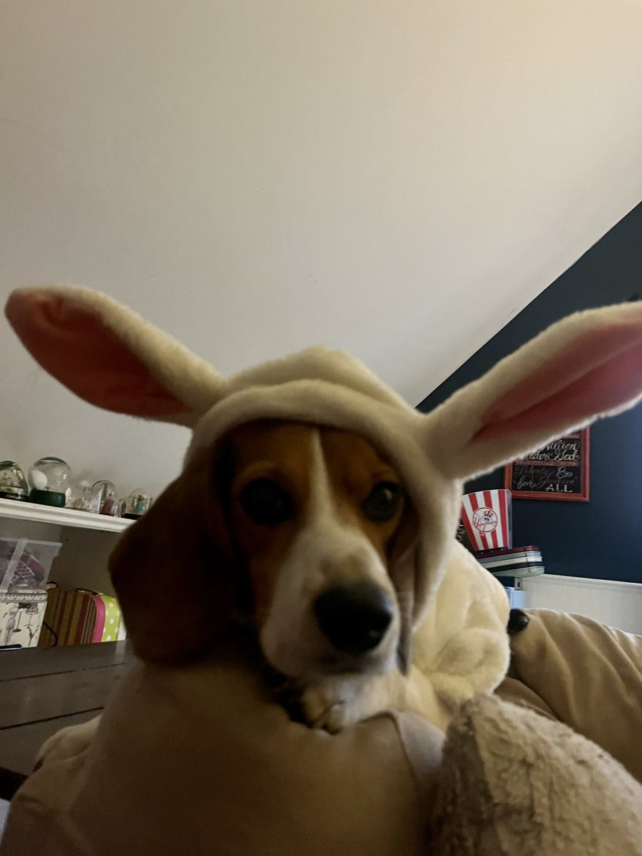 Happy Easter friends!!!