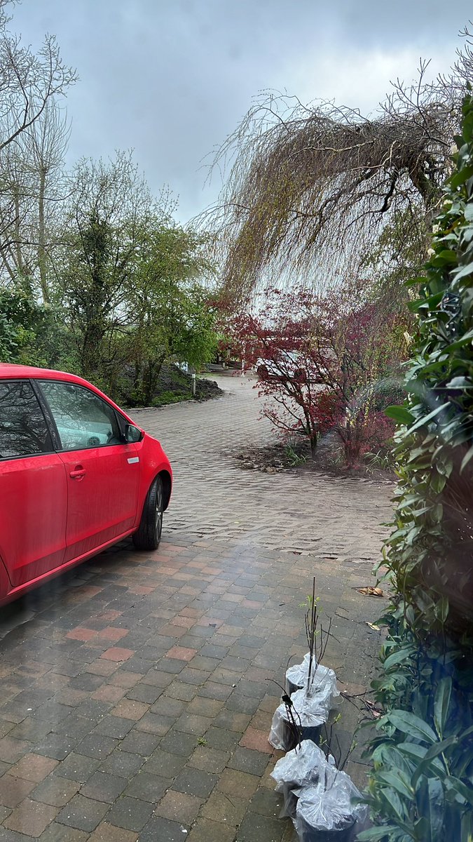 Gideon Goudsmit 120% ambitie tweet media