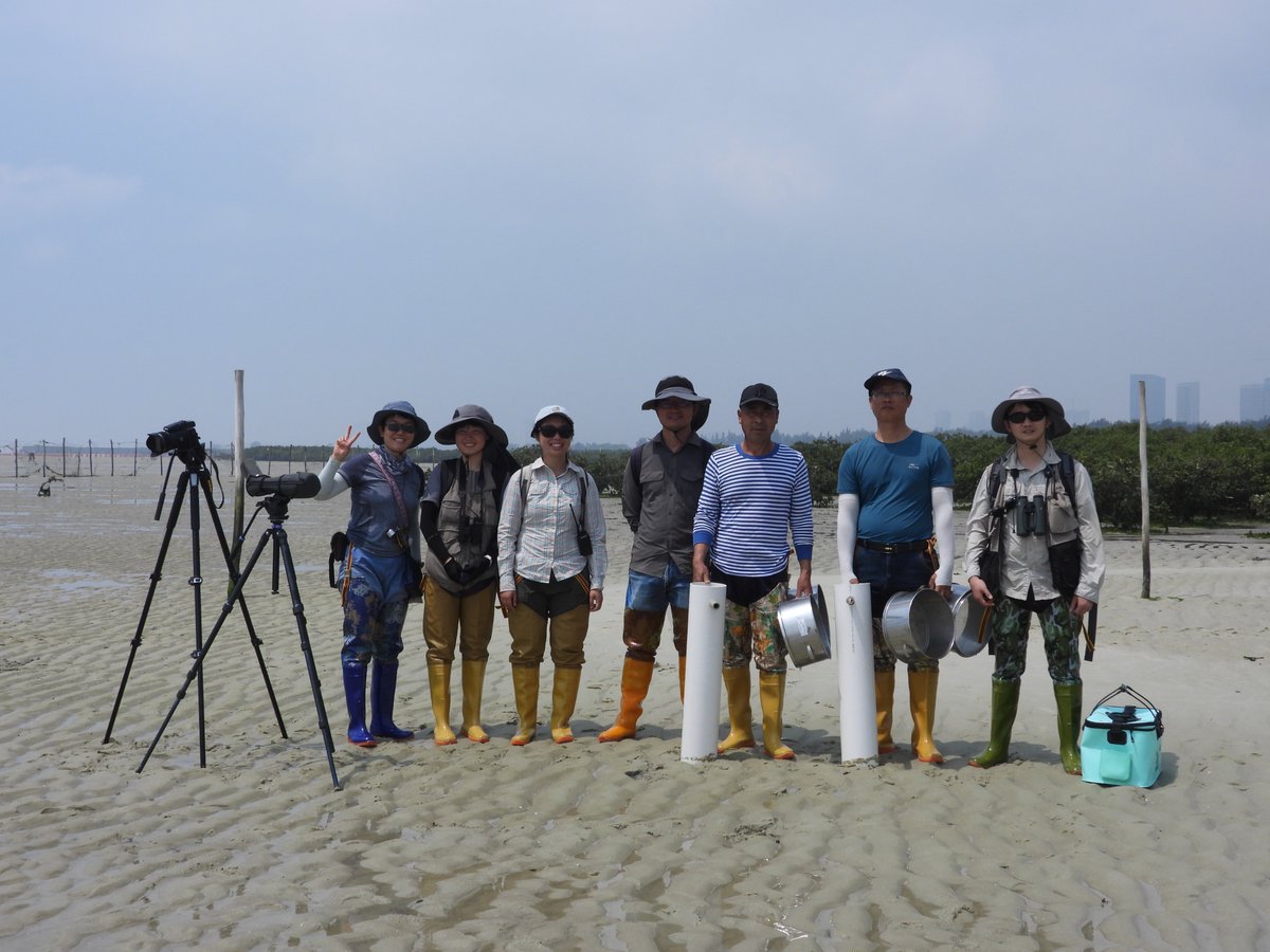 GlobalFlyway's tweet photo. The 2024 shorebird habitat study along entire Chinese coast started 10th year with mapping of #macrobenthos at Beihai. Right now mudflats are overrun by tourists with unrestricted fishing. We miss the abundant horseshoe crabs, shorebirds and benthos encountered in earlier years. https://t.co/yTgeDGxT3b