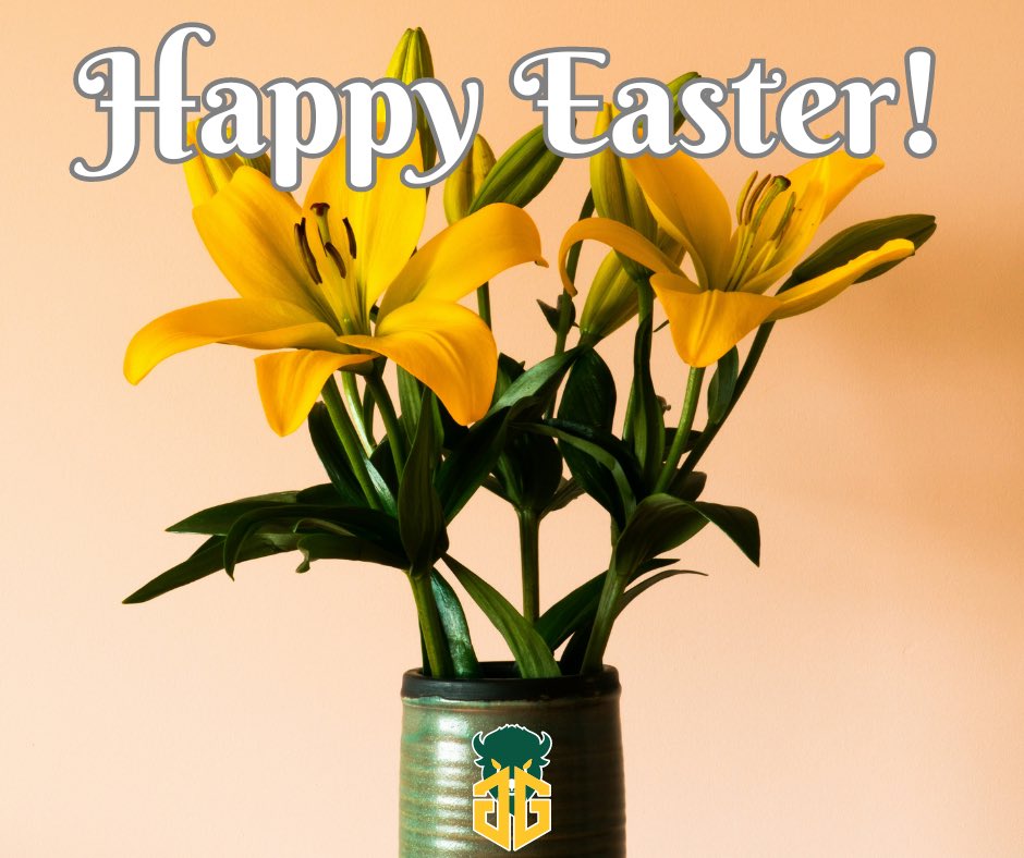 The Green and The Gold Collective (@gandgcollective) on Twitter photo 