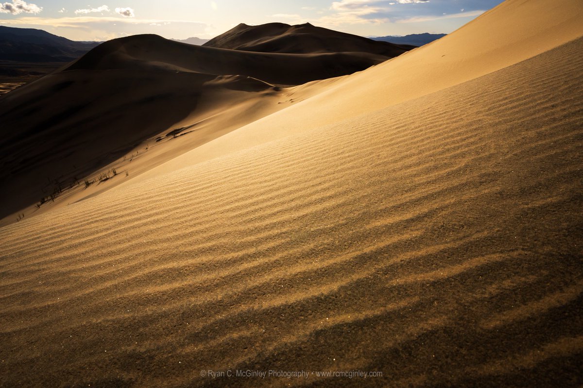 'The sun glistening on the sand dunes of Kelso in the Mojave Desert. #California'

- @rcmcginley