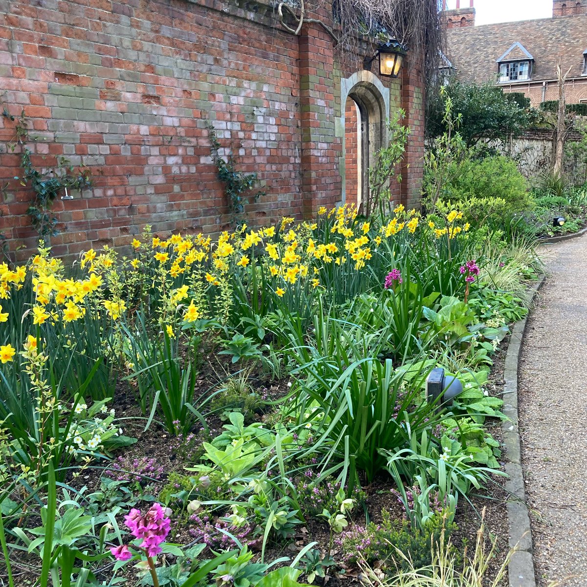 Happy Easter to everyone celebrating today. Some shots of the beautiful flowers that have been blooming in College this month. Thank you to Sarah Claydon and her team for all their hard work!🐣🌷🌼