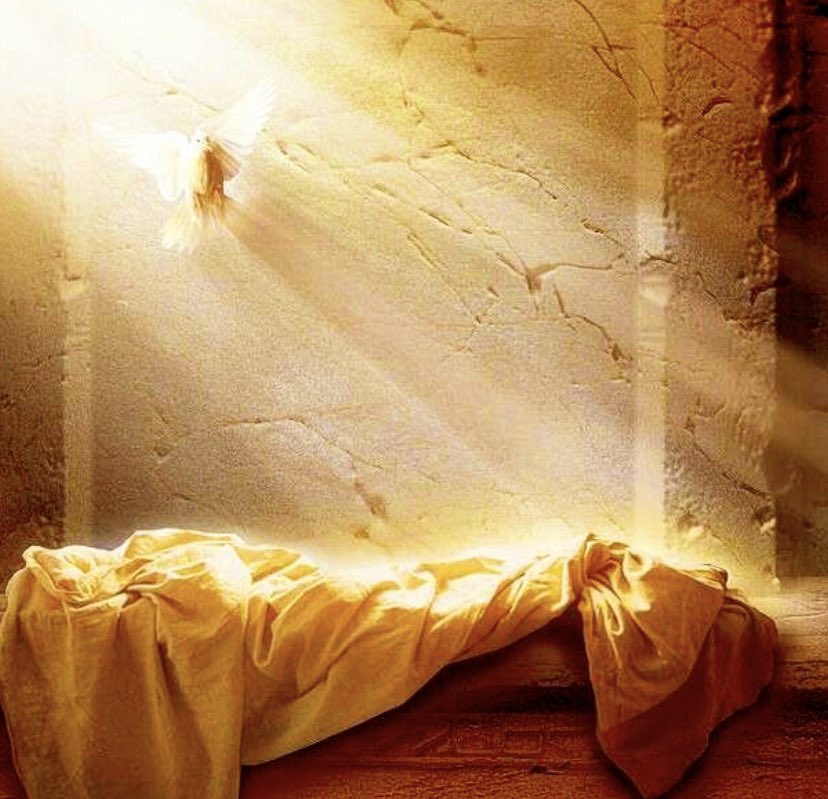 Do not abandon yourselves to despair. We are the Easter people and hallelujah is our song. ✝️🕊️