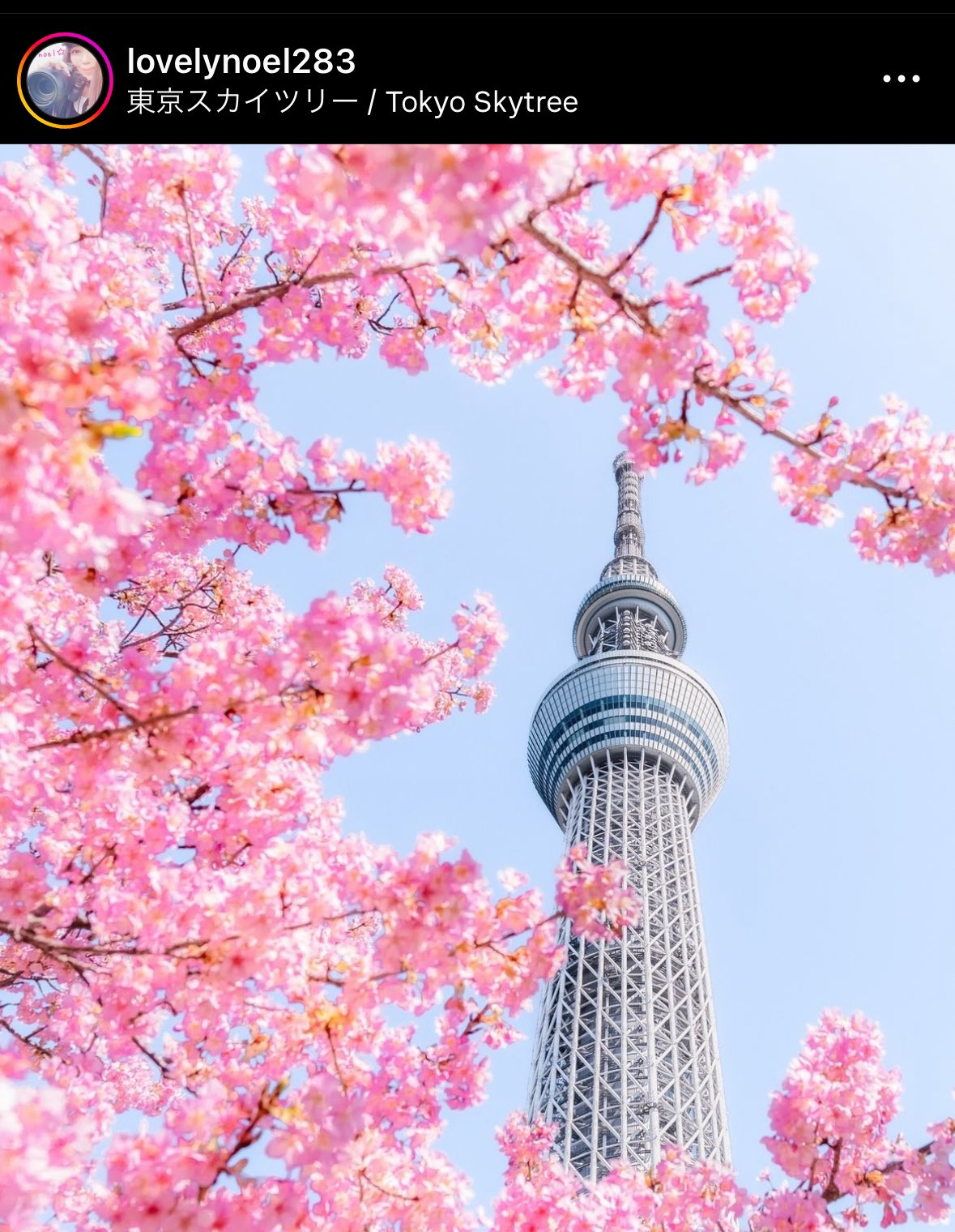 スカイツリー／Tokyo Skytree on X: 