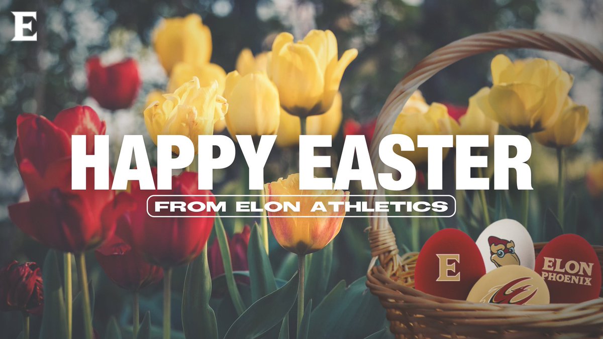 𝐖𝐢𝐬𝐡𝐢𝐧𝐠 𝐞𝐯𝐞𝐫𝐲𝐨𝐧𝐞 𝐚 𝐇𝐚𝐩𝐩𝐲 𝐄𝐚𝐬𝐭𝐞𝐫! 💐🐰🌷🐣 #PhoenixRising