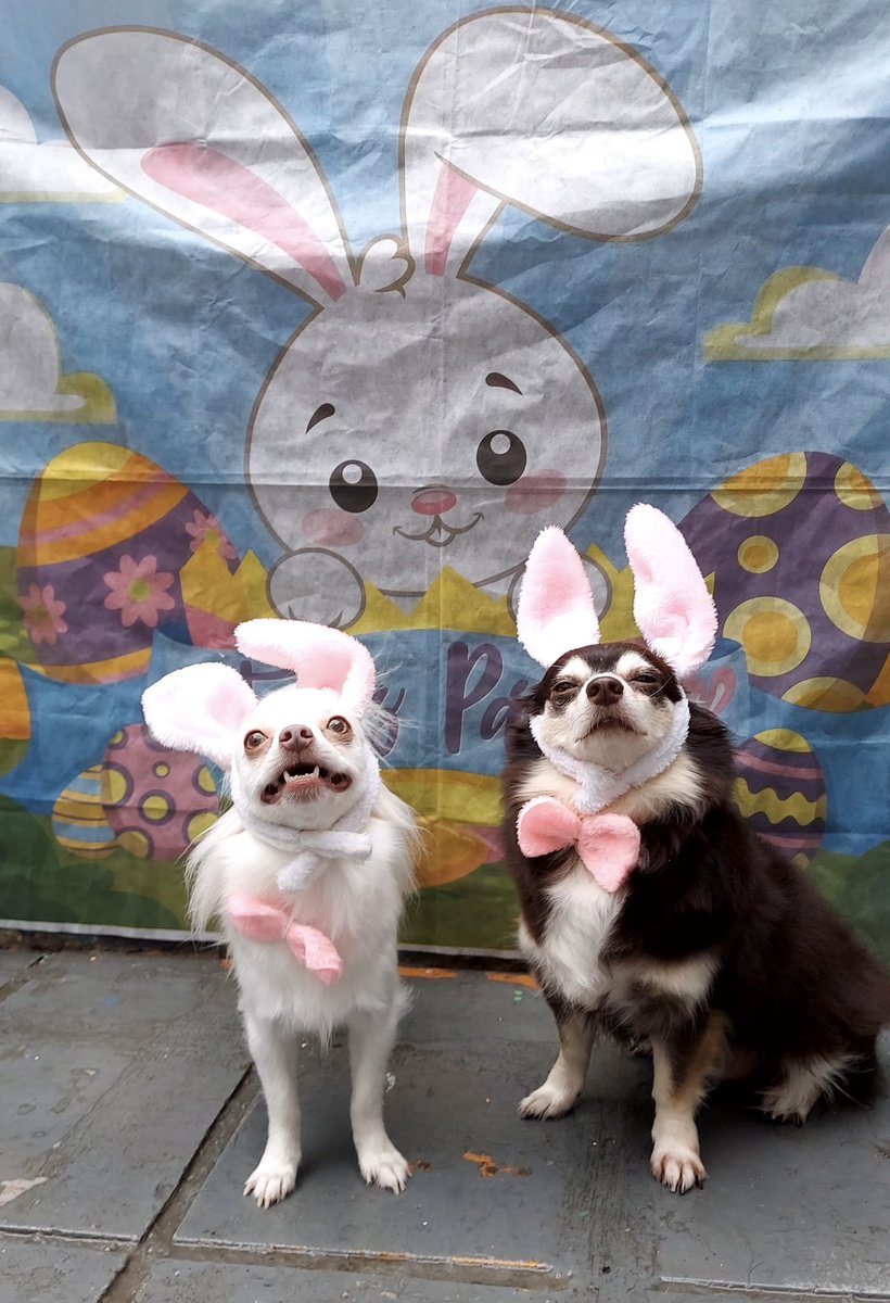 feLiS   pAscOa..!,!,!!!