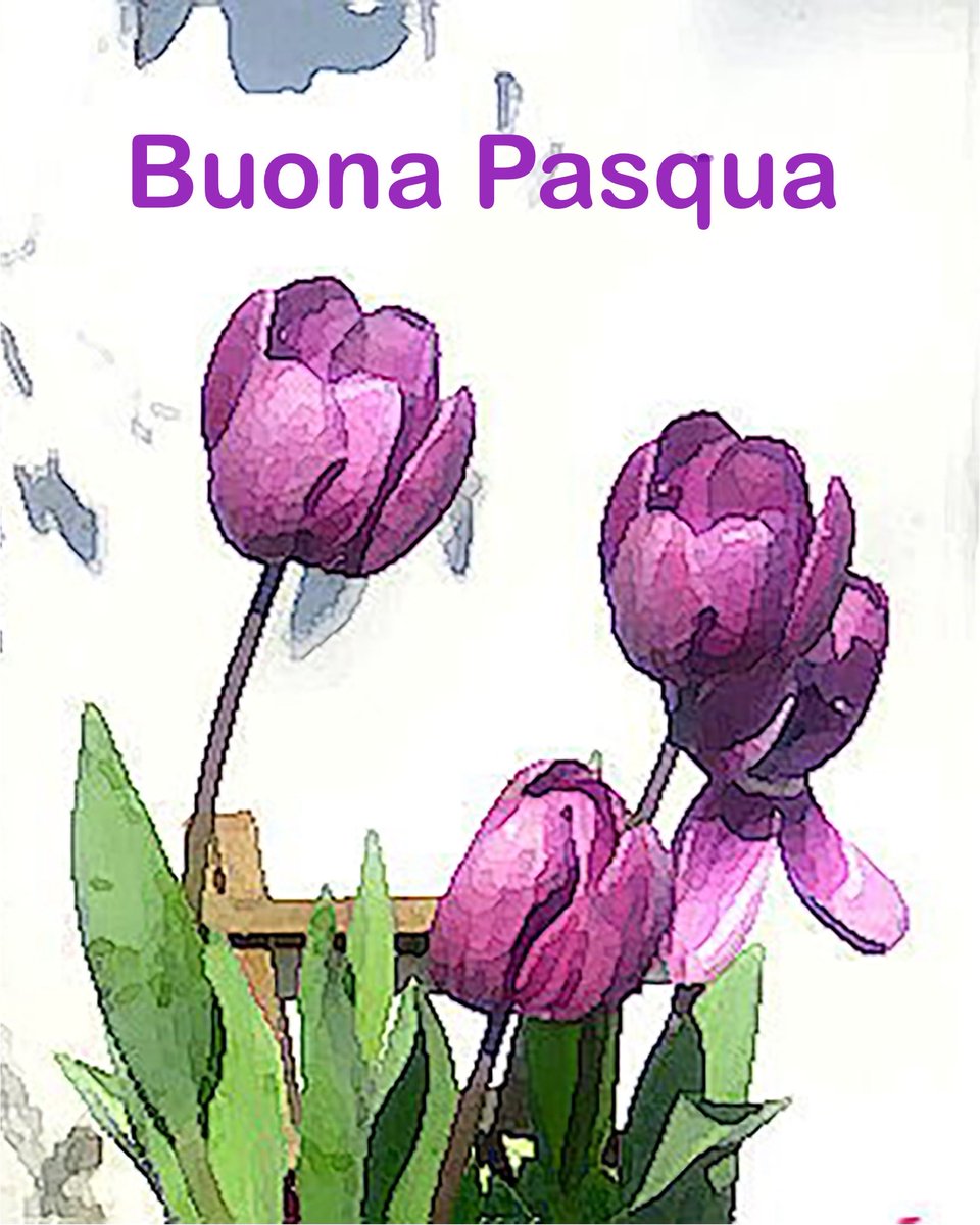 Liz Amadio tweet media