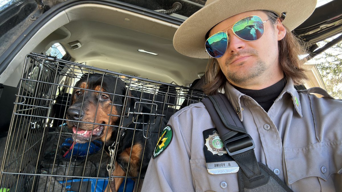 Wild Ben tweet media