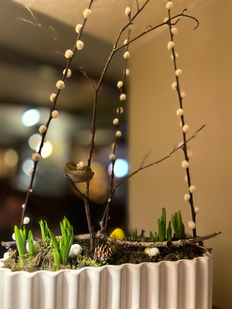 Wishing everyone a Happy Easter! 🐣 

We hope you like our Easter Trees complete with cute little nests with tiny eggs! 🪺 Specially made by some very creative and talented young ladies!

#happyeaster #easter #eastersunday #handmade #creative #easterdecor #eatdrinkexplorepdd