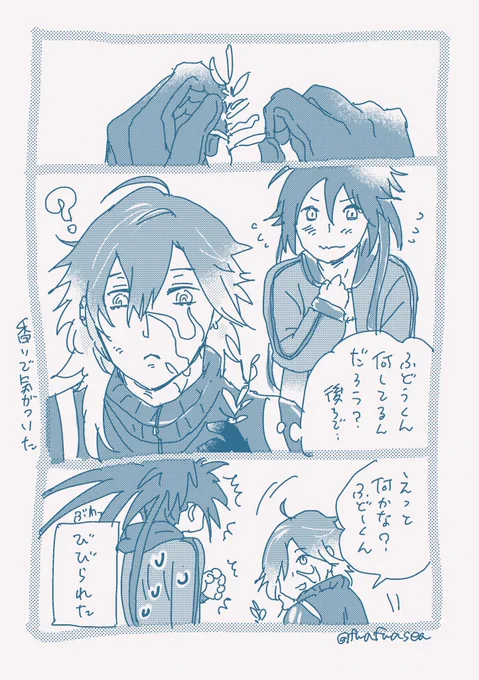 ふど実 つづき 