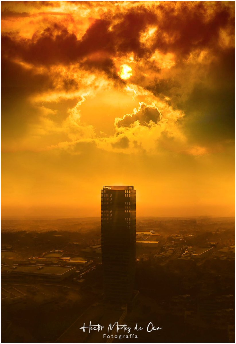 XALAPA Hoy el Domingo se reveló ante el tiempo y permitió que el sol brille desde temprano, atenuando el frio xalapeño húmedo, penetrante y con esto lo ha convertido en un hálitus matutino confortante, igual al que aderezó nuestra infancia y juventud. hsilva_mendoza@hotmail.com