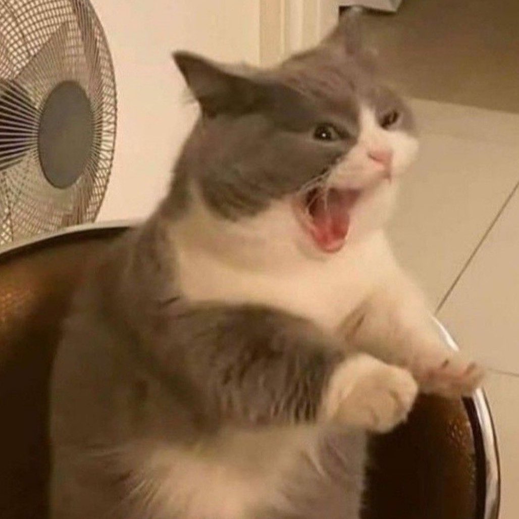 anya ❤︎ tweet media