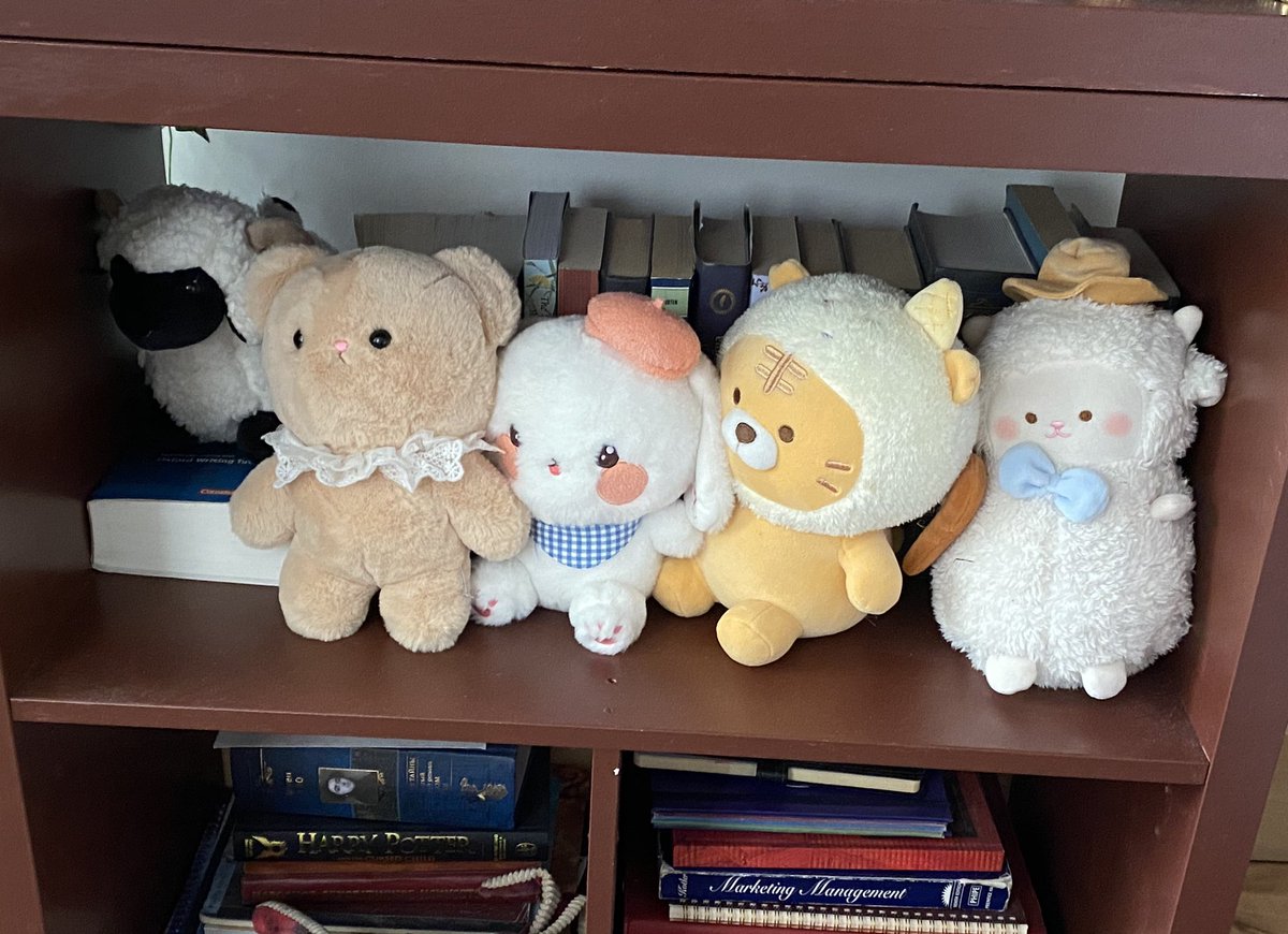 my three categories of plush. hooters, snoozers and lil doods