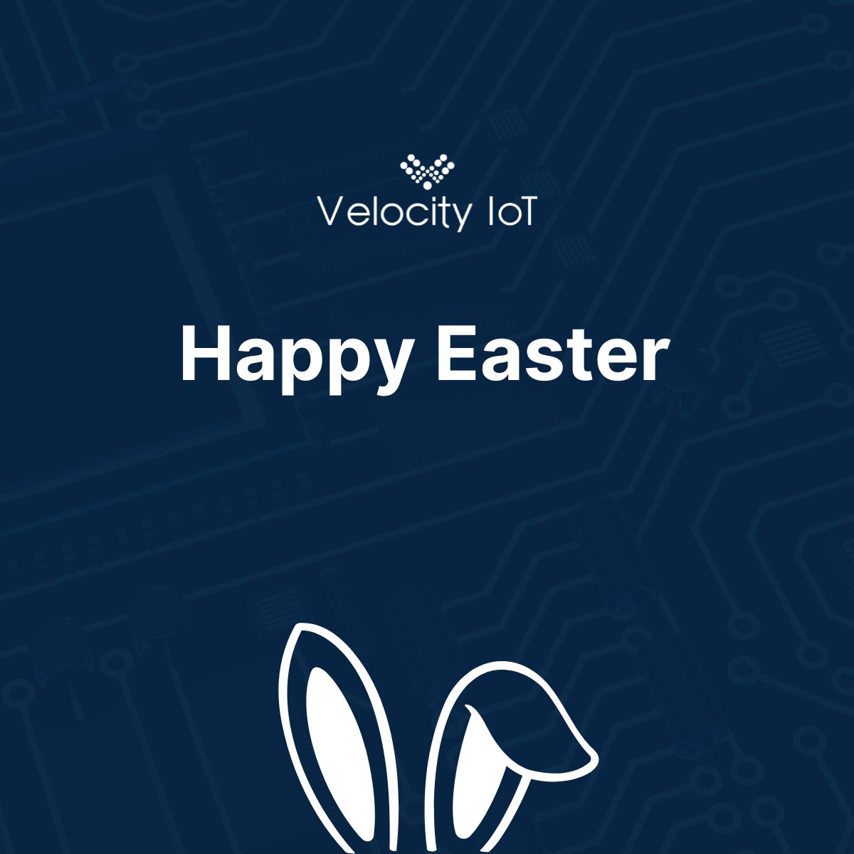 Wishing a joyful Easter to all those celebrating! May your day be filled with happiness, peace, and love.

#happyeaster #velocityiot