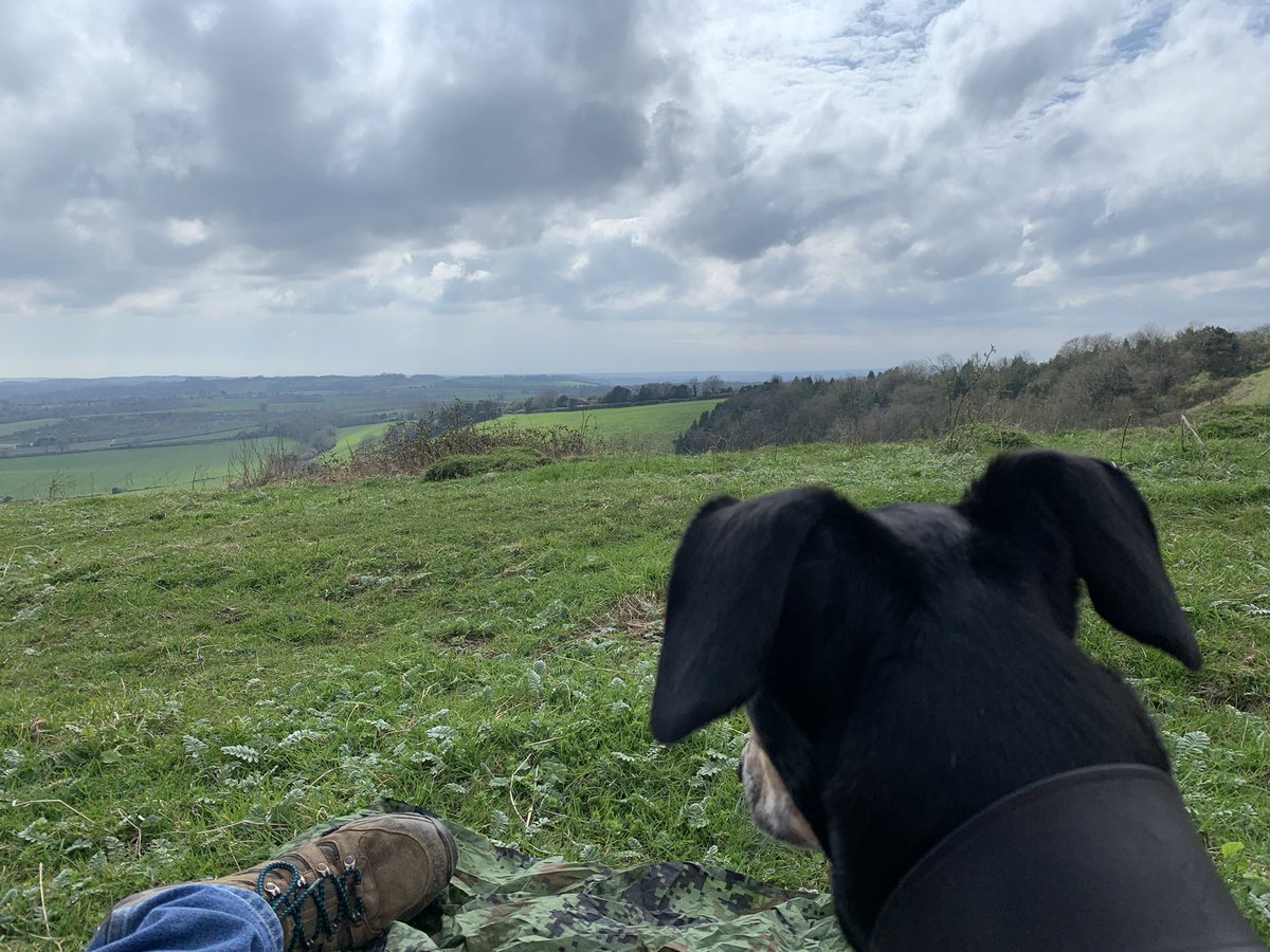 Dragged out for something called “exercise”.. but picnic did have my own pork sausage so all is well in the world