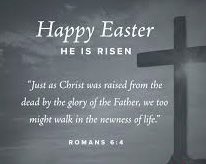 Creyo Koop tweet media