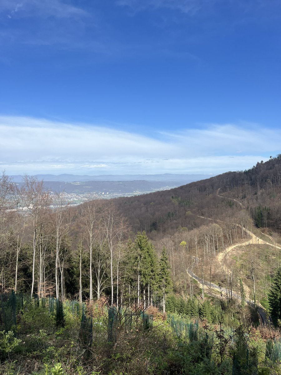 Osterspaziergang - Kein Hase gefunden 🐰