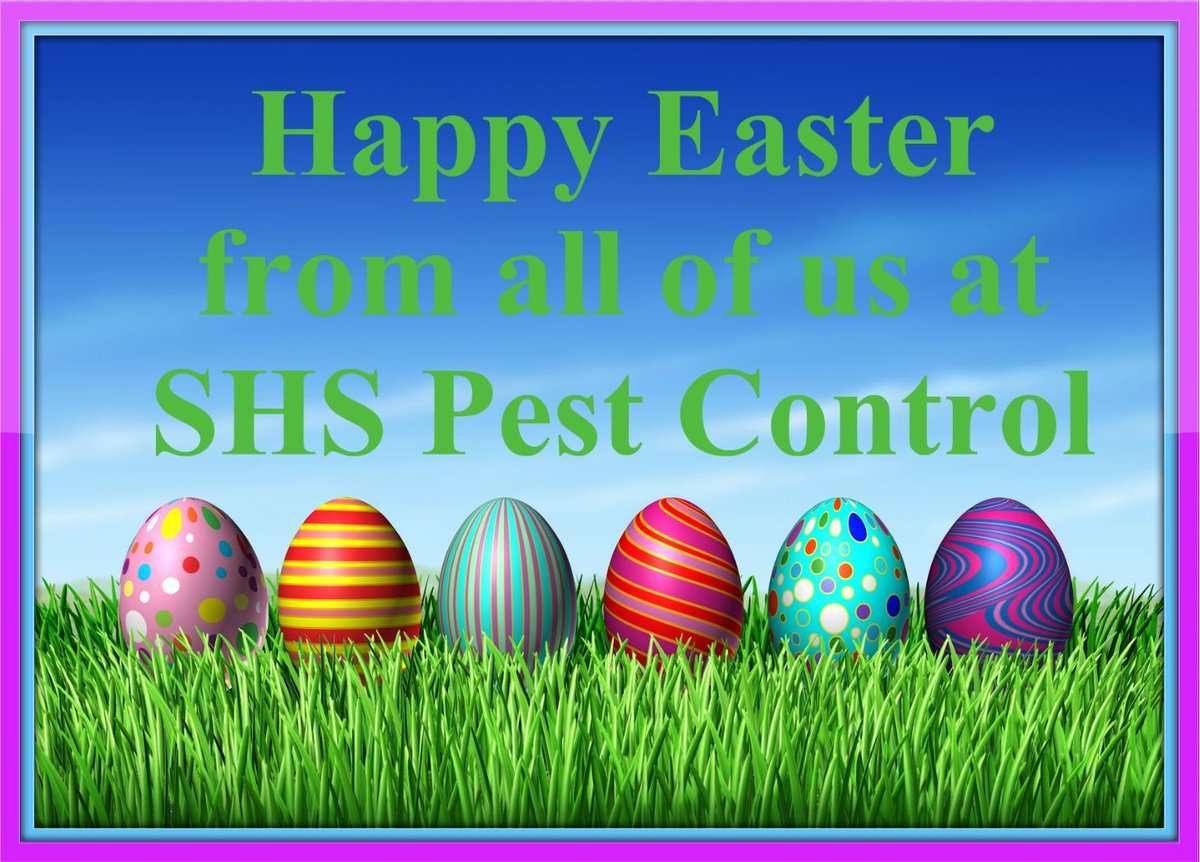 SHSPestControl's tweet image. Happy Easter from all of us at SHS Pest Control! 💫💐🐰