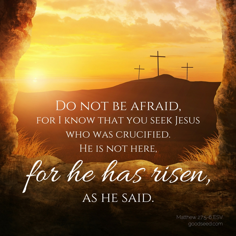 ColeMClark06's tweet photo. He has risen.🙏🙌 https://t.co/Fhm7PvHqA0