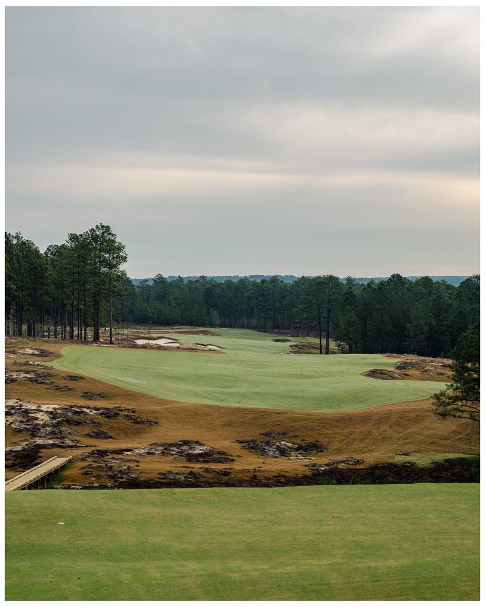 Pinehurst Resort tweet media