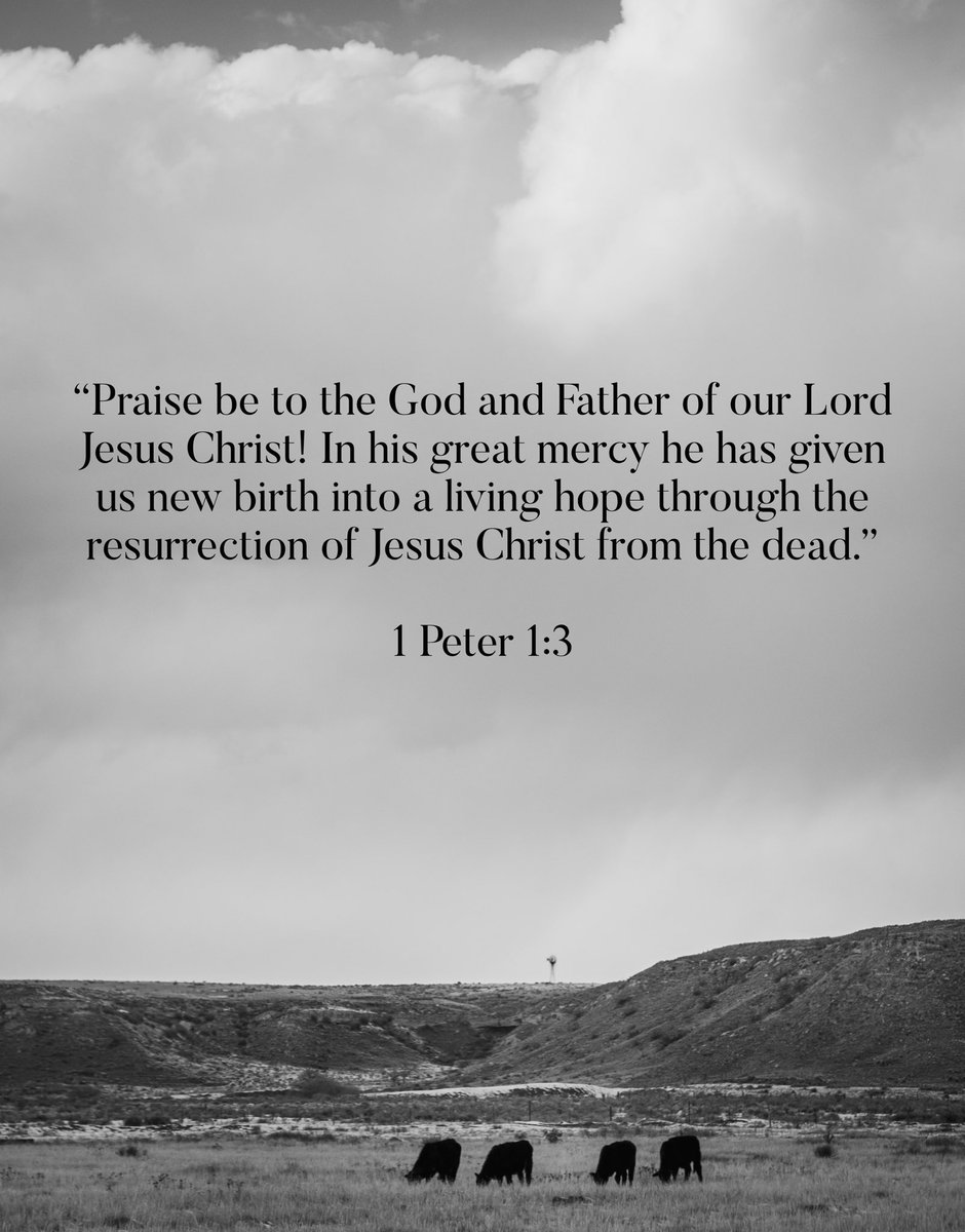 XITRanch's tweet photo. May this Easter be a reminder of the hope we have in Christ.

#HeIsRisen https://t.co/HhSslknlIR