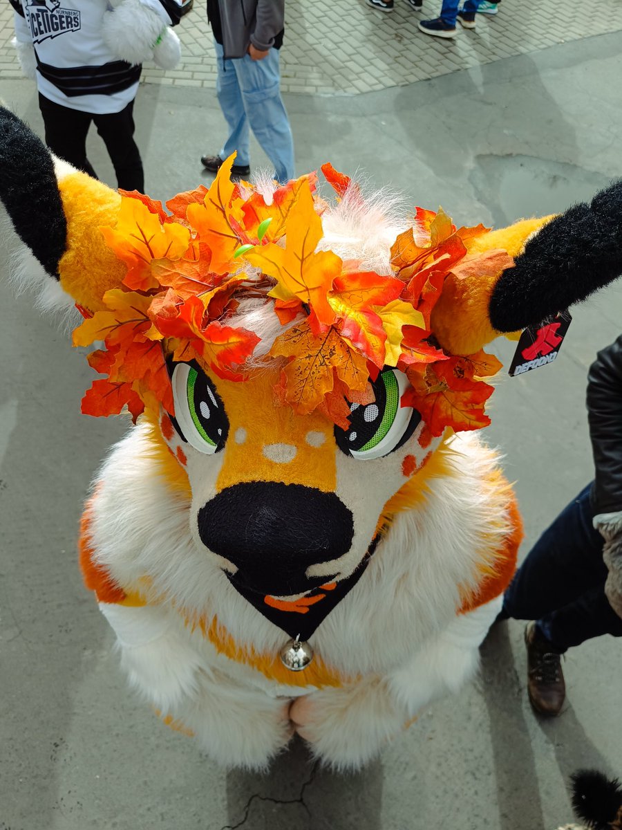 Picture by spirit !