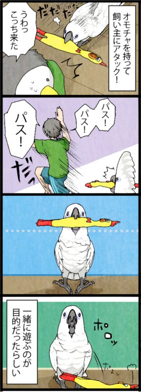 オモチャといえば、巻き込み咬みだった当時の4コマ。
今は滅多に咬まれなくなりました。 