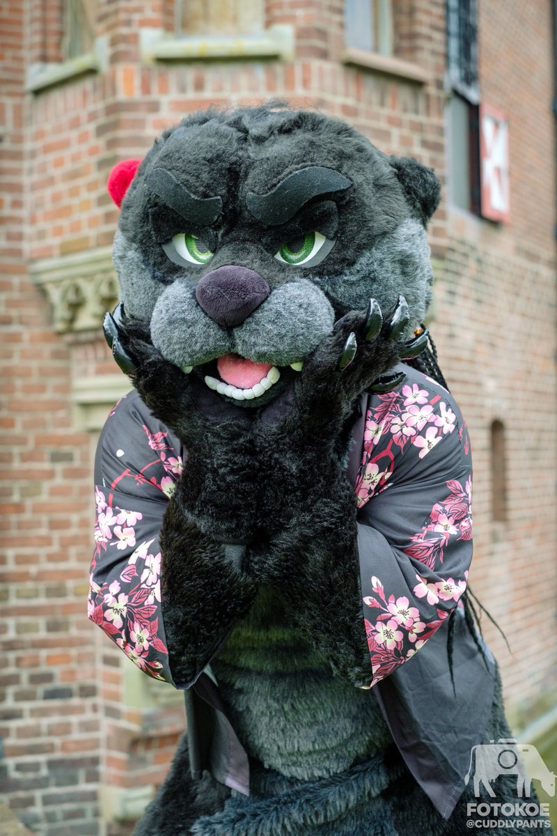 FaolanPanriel's tweet photo. Quote retweet with your green-eyed fursuit 💚👀 https://t.co/9dRAN5orBU